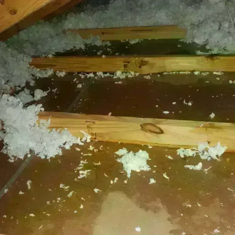 Attic Water Damage in Pittsfield, IL