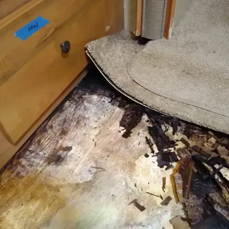 Wood Floor Water Damage in Pittsfield, IL